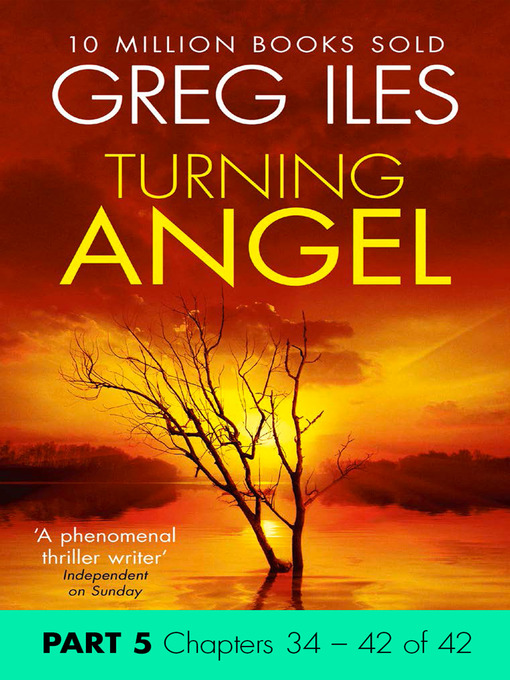 Cover image for Turning Angel, Part 5